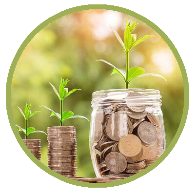 grow money grow money